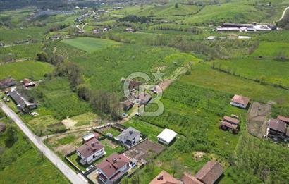 HENDEK YEŞİLVADİ'DE 7824 M2 İMARLI ARSA VE KÖY EVİ