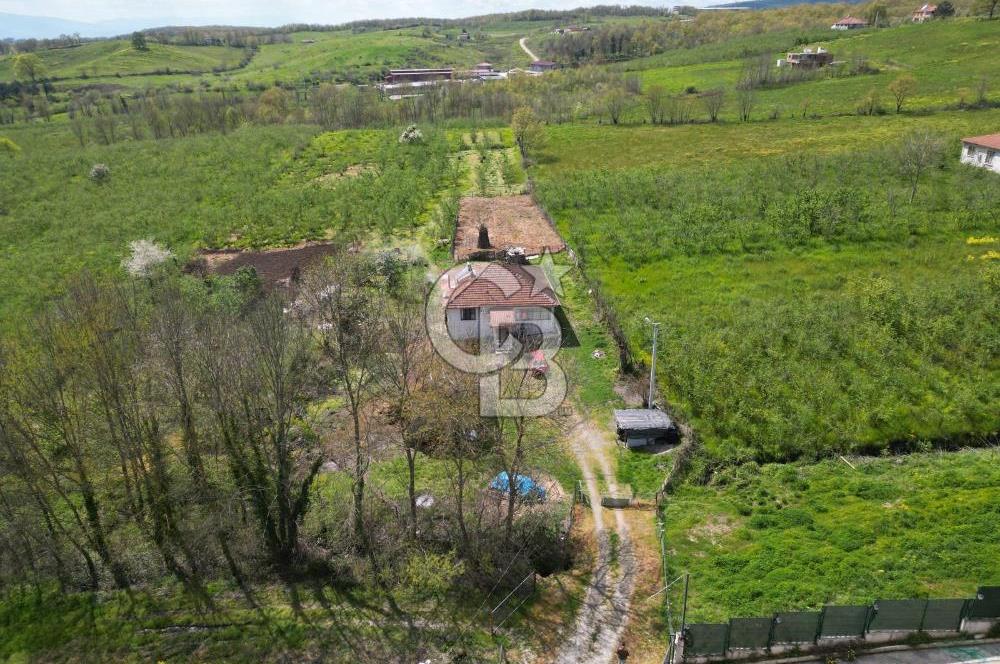 HENDEK YEŞİLVADİ'DE 7824 M2 İMARLI ARSA VE KÖY EVİ