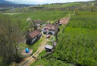 HENDEK YEŞİLVADİ'DE 7824 M2 İMARLI ARSA VE KÖY EVİ - 1 - 345273