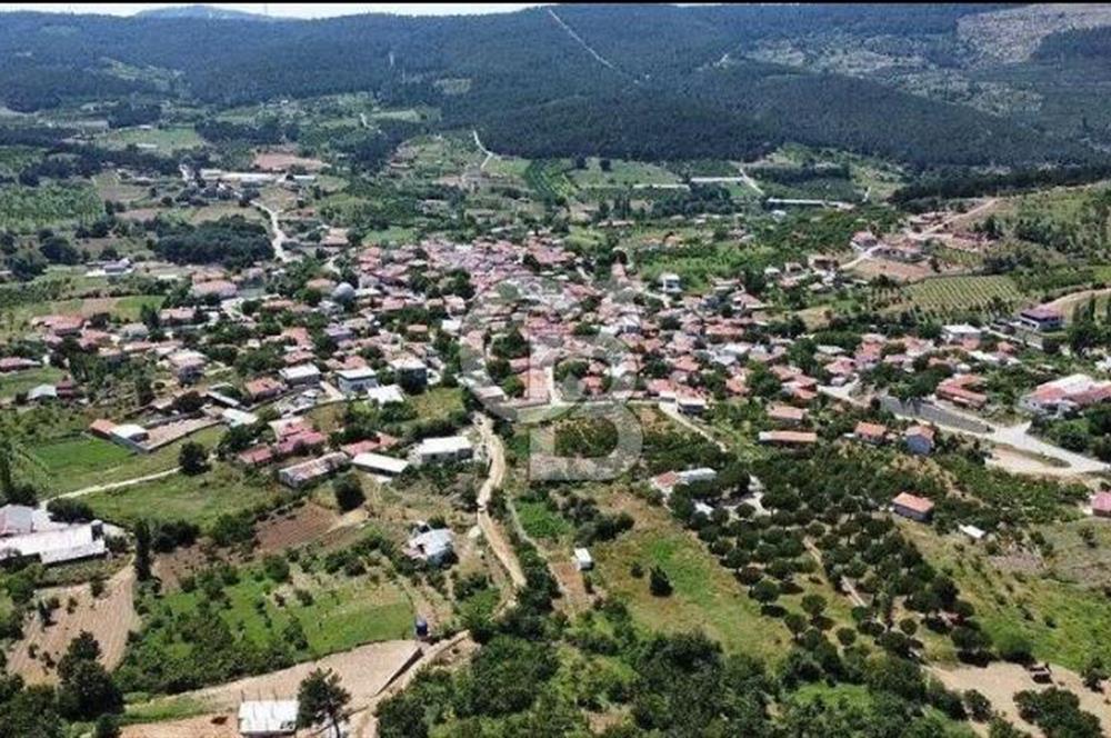 ÇANAKKALE BİGA ÇINARDERE'DE YOLA CEPHELİ SATILIK 6562 M2 TARLA