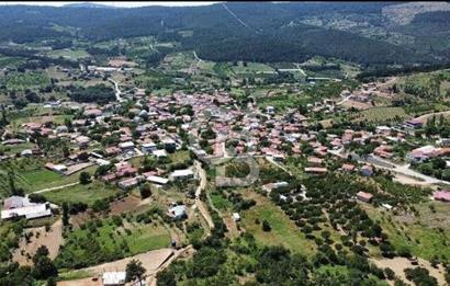 ÇANAKKALE BİGA ÇINARDERE'DE YOLA CEPHELİ SATILIK 6562 M2 TARLA