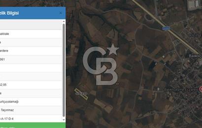 ÇANAKKALE BİGA ÇINARDERE'DE YOLA CEPHELİ SATILIK 6562 M2 TARLA
