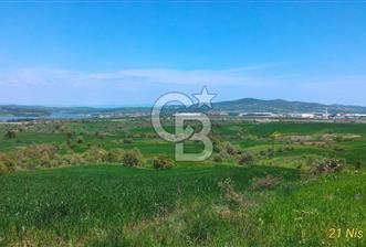 ÇANAKKALE BİGA ÇINARDERE'DE YOLA CEPHELİ SATILIK 6562 M2 TARLA - 3 - 345258