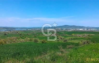 ÇANAKKALE BİGA ÇINARDERE'DE YOLA CEPHELİ SATILIK 6562 M2 TARLA