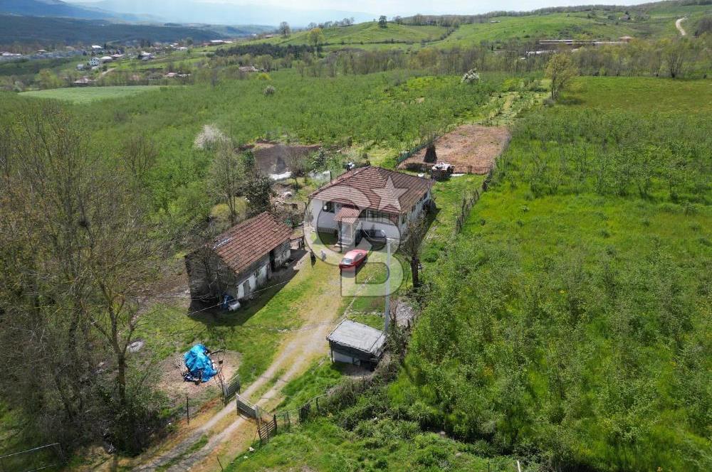 HENDEK YEŞİLVADİ'DE 7824 M2 İMARLI ARSA VE KÖY EVİ