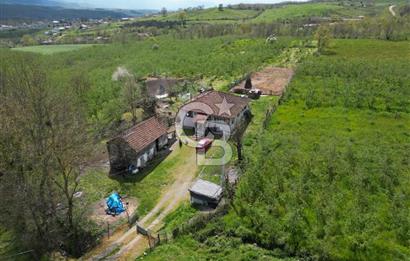 HENDEK YEŞİLVADİ'DE 7824 M2 İMARLI ARSA VE KÖY EVİ