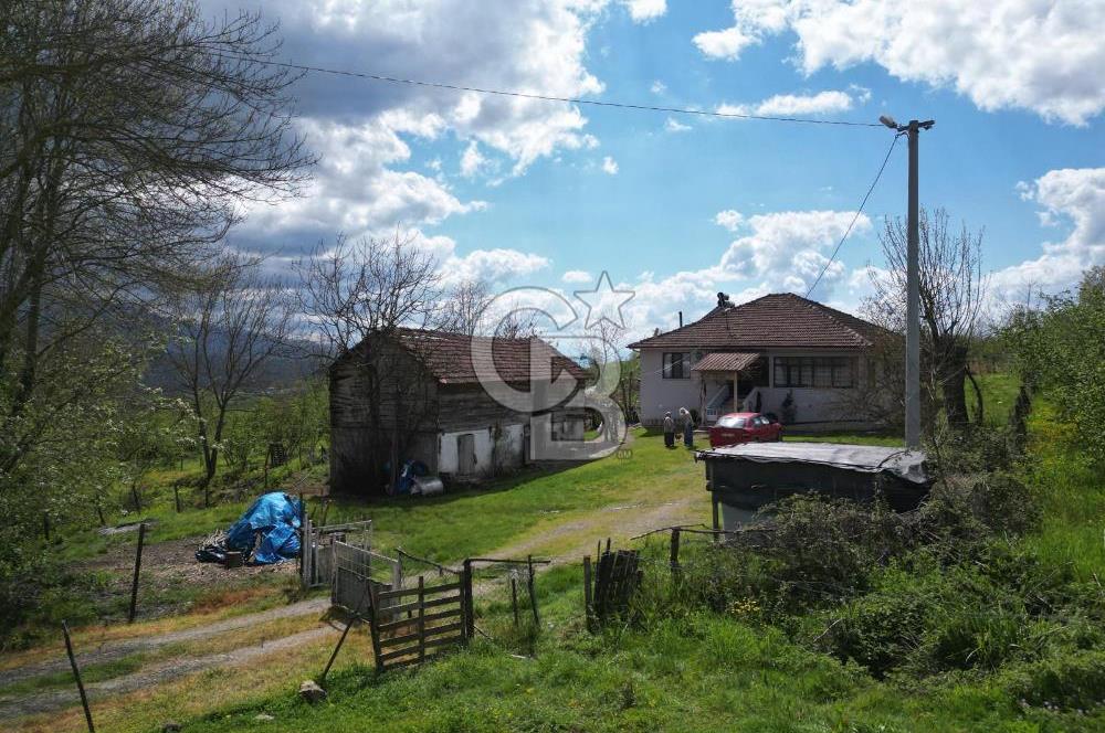 HENDEK YEŞİLVADİ'DE 7824 M2 İMARLI ARSA VE KÖY EVİ
