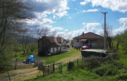 HENDEK YEŞİLVADİ'DE 7824 M2 İMARLI ARSA VE KÖY EVİ