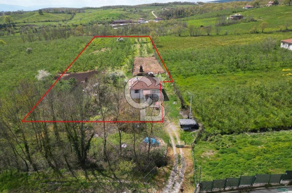 HENDEK YEŞİLVADİ'DE 7824 M2 İMARLI ARSA VE KÖY EVİ
