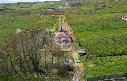 HENDEK YEŞİLVADİ'DE 7824 M2 İMARLI ARSA VE KÖY EVİ