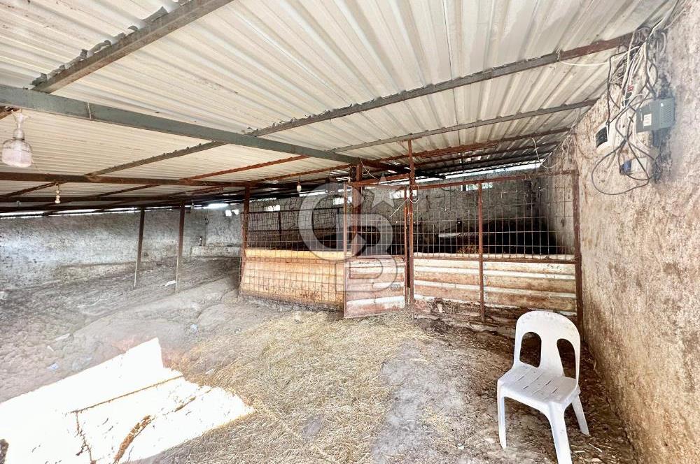 14 Dönüm ‘e yakın Arazi içinde Çiftlik Konseptli Özel Villa