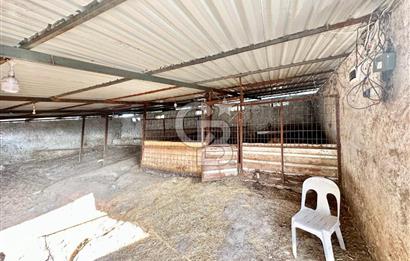 14 Dönüm ‘e yakın Arazi içinde Çiftlik Konseptli Özel Villa