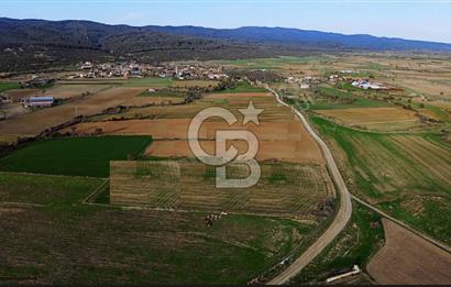 GELİBOLU ŞADILLI (SAROS KÖRFEZİ) KÖY YOLUNA CEPHE DENİZ MANZARALI SATILIK CAZİP TARLA