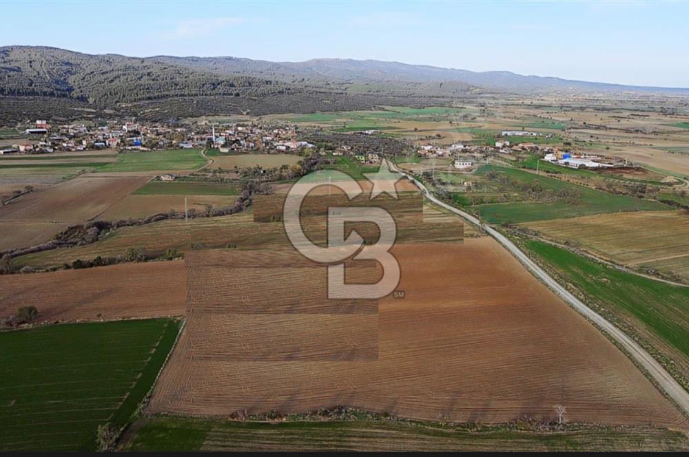 GELİBOLU ŞADILLI (SAROS KÖRFEZİ) KÖY YOLUNA CEPHE DENİZ MANZARALI SATILIK CAZİP TARLA