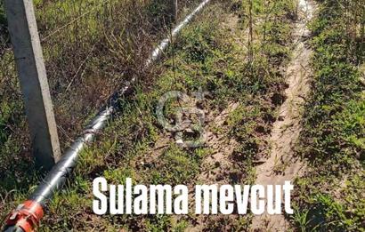 Torbalıda Yola Cepheli Elektrik Su Hazır Tek Tapulu Zeytinlik 