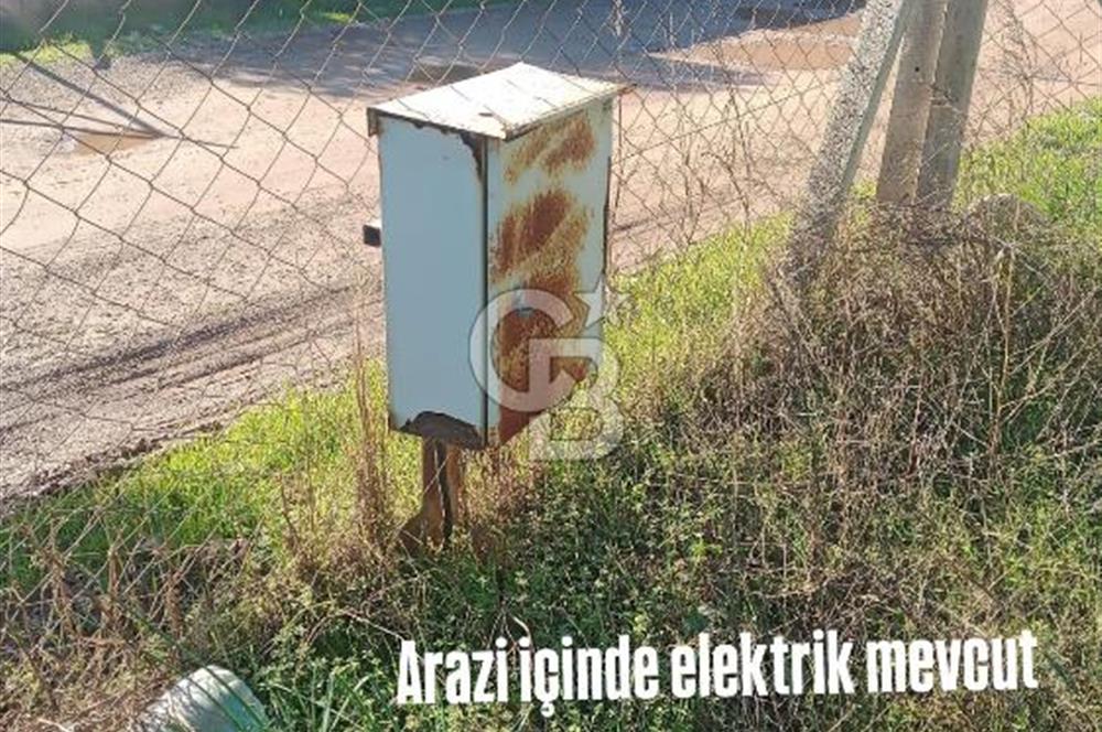 Torbalıda Yola Cepheli Elektrik Su Hazır Tek Tapulu Zeytinlik 