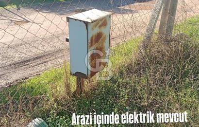 Torbalıda Yola Cepheli Elektrik Su Hazır Tek Tapulu Zeytinlik 
