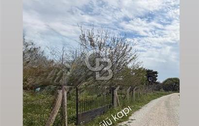 Torbalıda Yola Cepheli Elektrik Su Hazır Tek Tapulu Zeytinlik 