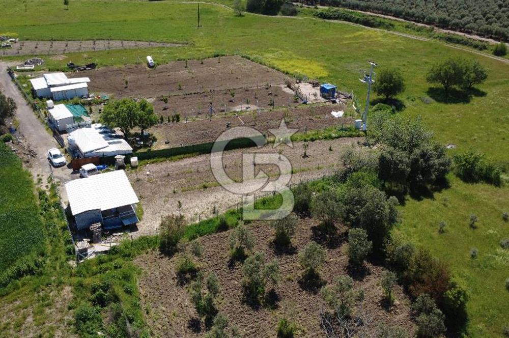 CB ODAK’tan Çıtak’ta Yola Cepheli, Konteyner Evli, Hazır Tarla