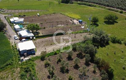 CB ODAK’tan Çıtak’ta Yola Cepheli, Konteyner Evli, Hazır Tarla