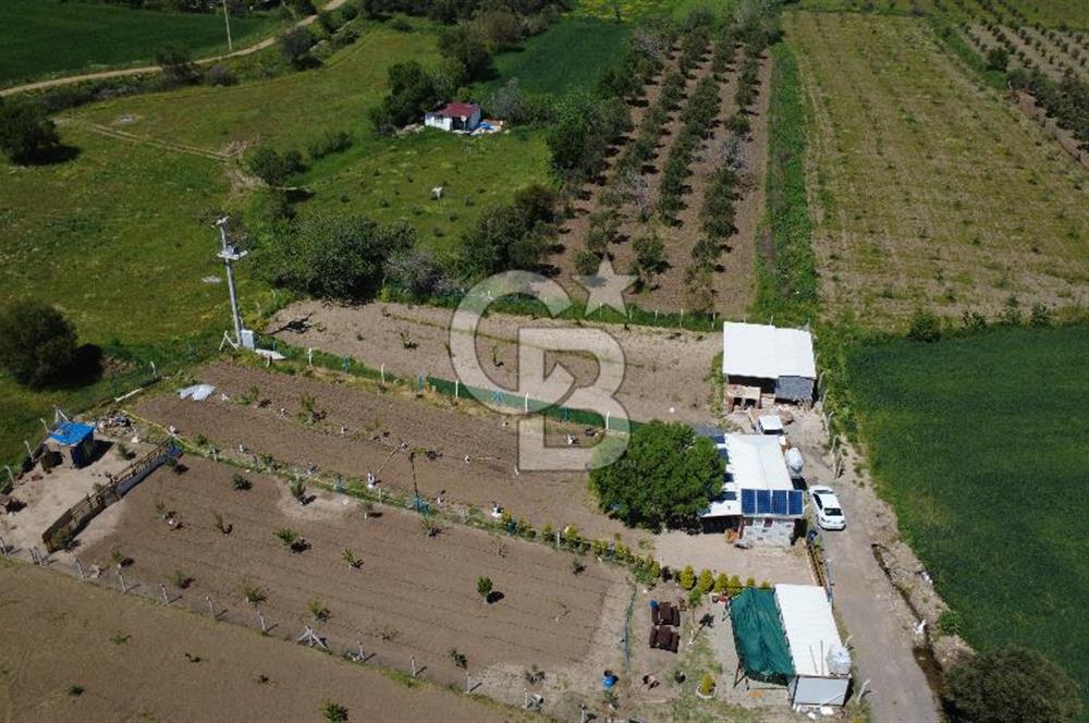 CB ODAK’tan Çıtak’ta Yola Cepheli, Konteyner Evli, Hazır Tarla