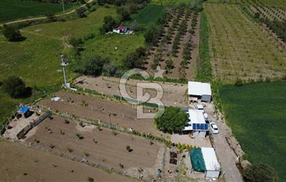 CB ODAK’tan Çıtak’ta Yola Cepheli, Konteyner Evli, Hazır Tarla