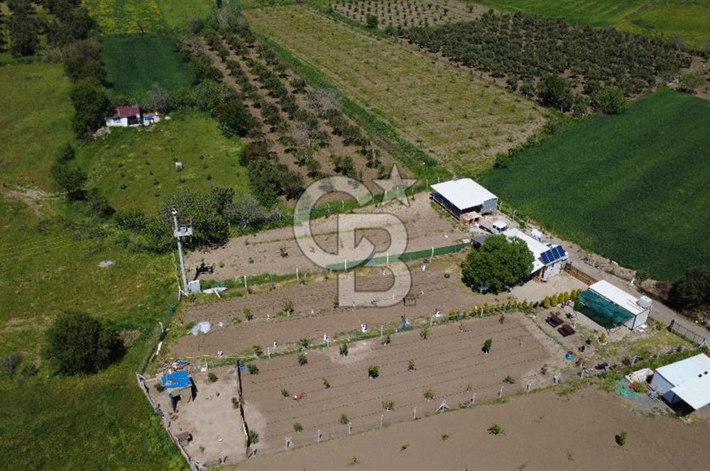 CB ODAK’tan Çıtak’ta Yola Cepheli, Konteyner Evli, Hazır Tarla