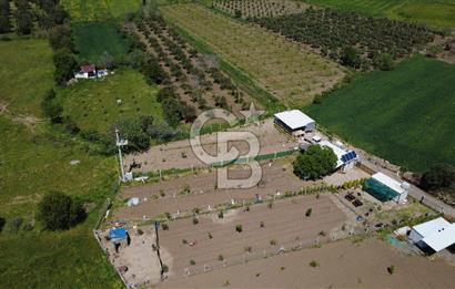 CB ODAK’tan Çıtak’ta Yola Cepheli, Konteyner Evli, Hazır Tarla