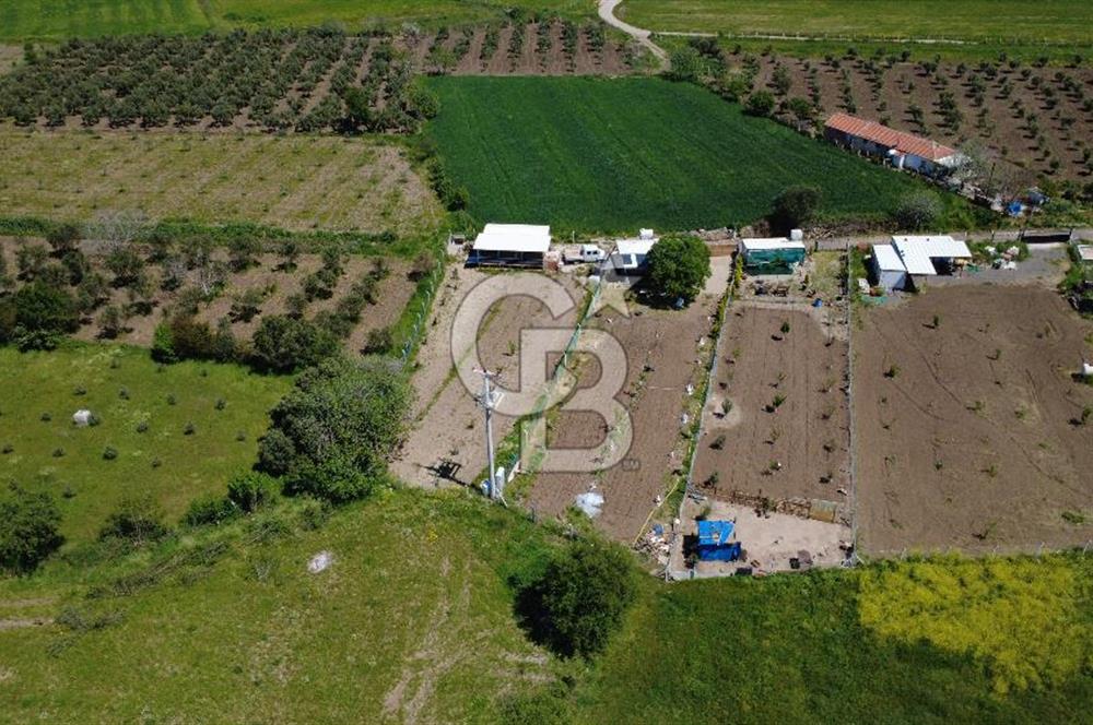 CB ODAK’tan Çıtak’ta Yola Cepheli, Konteyner Evli, Hazır Tarla