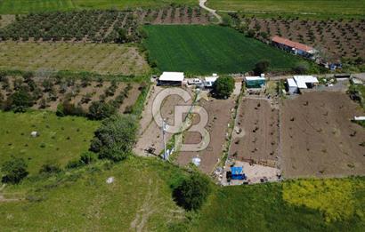 CB ODAK’tan Çıtak’ta Yola Cepheli, Konteyner Evli, Hazır Tarla