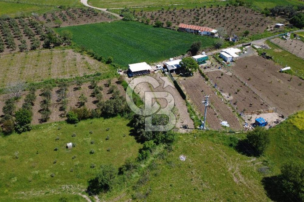 CB ODAK’tan Çıtak’ta Yola Cepheli, Konteyner Evli, Hazır Tarla