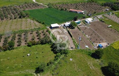 CB ODAK’tan Çıtak’ta Yola Cepheli, Konteyner Evli, Hazır Tarla