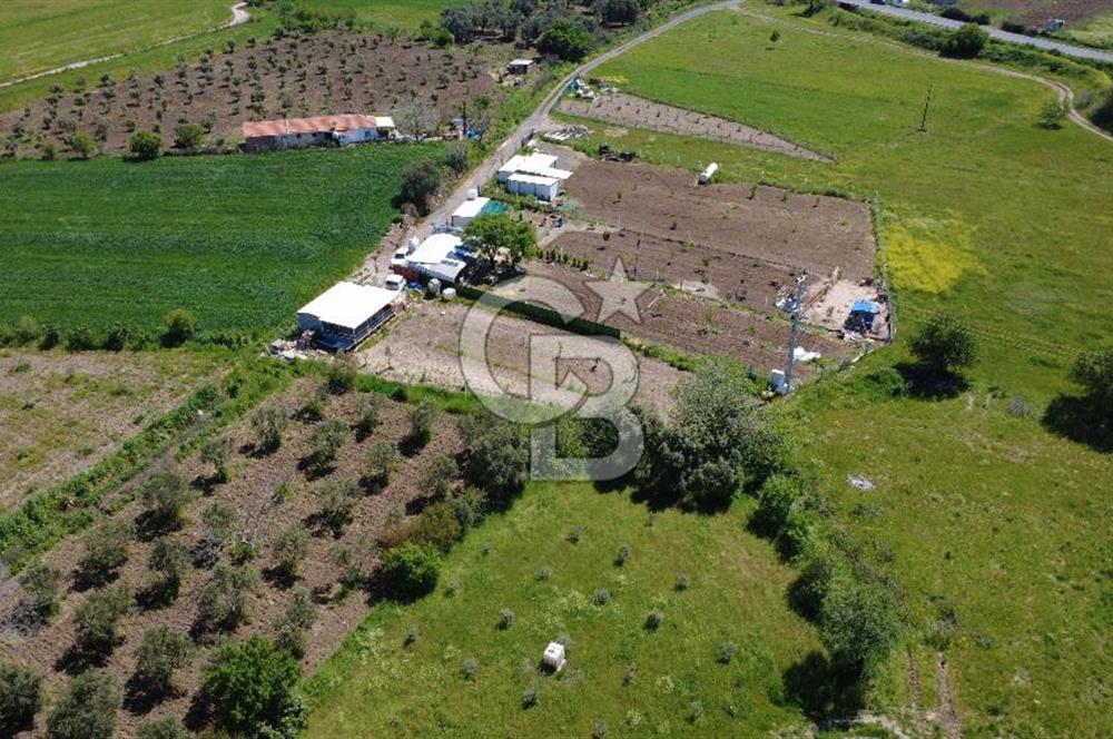 CB ODAK’tan Çıtak’ta Yola Cepheli, Konteyner Evli, Hazır Tarla