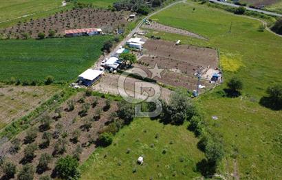 CB ODAK’tan Çıtak’ta Yola Cepheli, Konteyner Evli, Hazır Tarla
