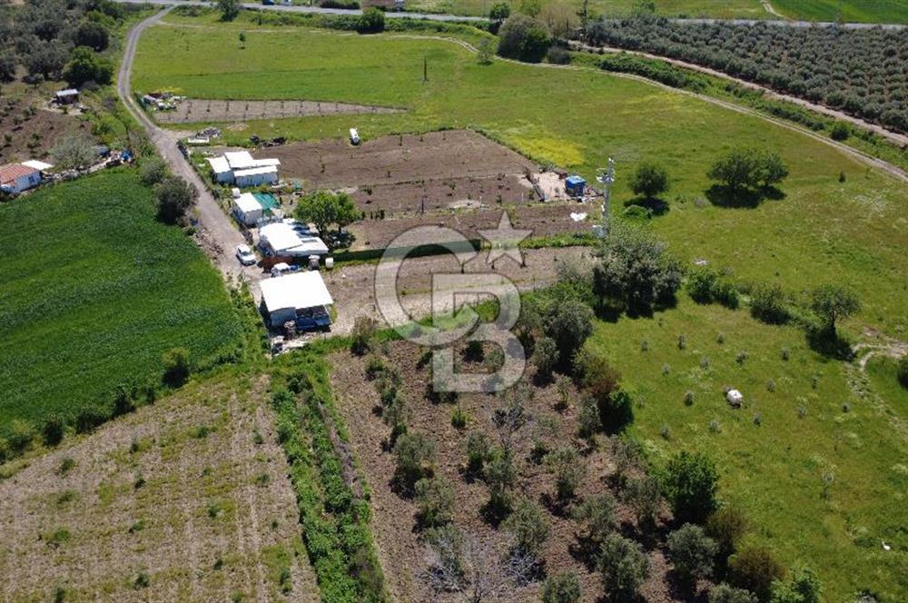 CB ODAK’tan Çıtak’ta Yola Cepheli, Konteyner Evli, Hazır Tarla