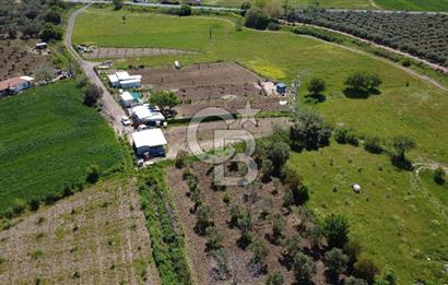 CB ODAK’tan Çıtak’ta Yola Cepheli, Konteyner Evli, Hazır Tarla