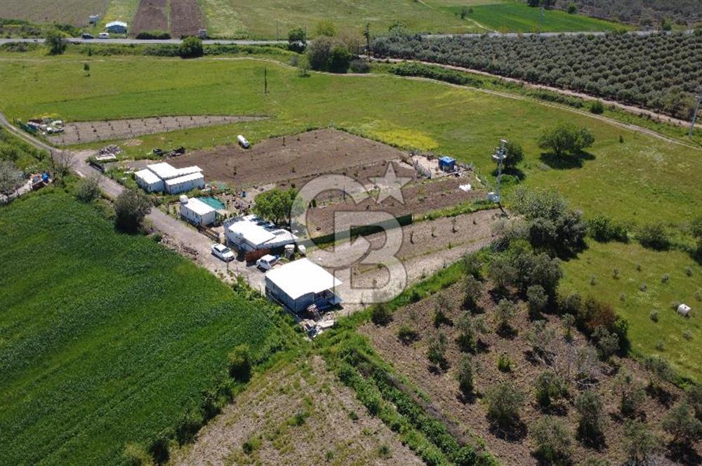 CB ODAK’tan Çıtak’ta Yola Cepheli, Konteyner Evli, Hazır Tarla