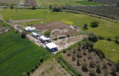 CB ODAK’tan Çıtak’ta Yola Cepheli, Konteyner Evli, Hazır Tarla
