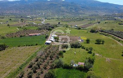 CB ODAK’tan Çıtak’ta Yola Cepheli, Konteyner Evli, Hazır Tarla