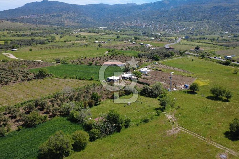 CB ODAK’tan Çıtak’ta Yola Cepheli, Konteyner Evli, Hazır Tarla