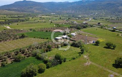 CB ODAK’tan Çıtak’ta Yola Cepheli, Konteyner Evli, Hazır Tarla