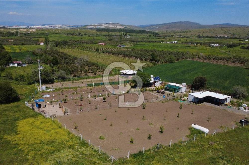 CB ODAK’tan Çıtak’ta Yola Cepheli, Konteyner Evli, Hazır Tarla