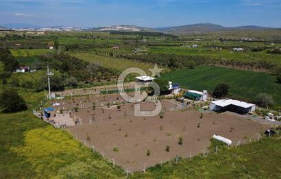 CB ODAK’tan Çıtak’ta Yola Cepheli, Konteyner Evli, Hazır Tarla