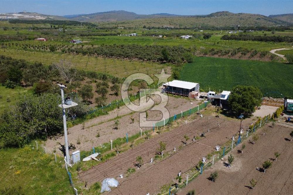 CB ODAK’tan Çıtak’ta Yola Cepheli, Konteyner Evli, Hazır Tarla