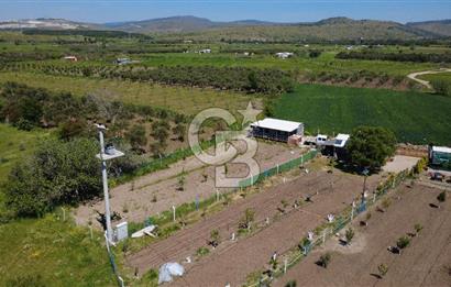 CB ODAK’tan Çıtak’ta Yola Cepheli, Konteyner Evli, Hazır Tarla