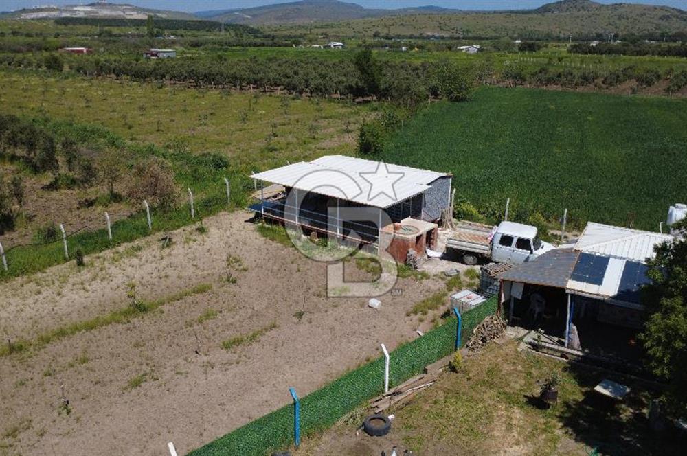 CB ODAK’tan Çıtak’ta Yola Cepheli, Konteyner Evli, Hazır Tarla