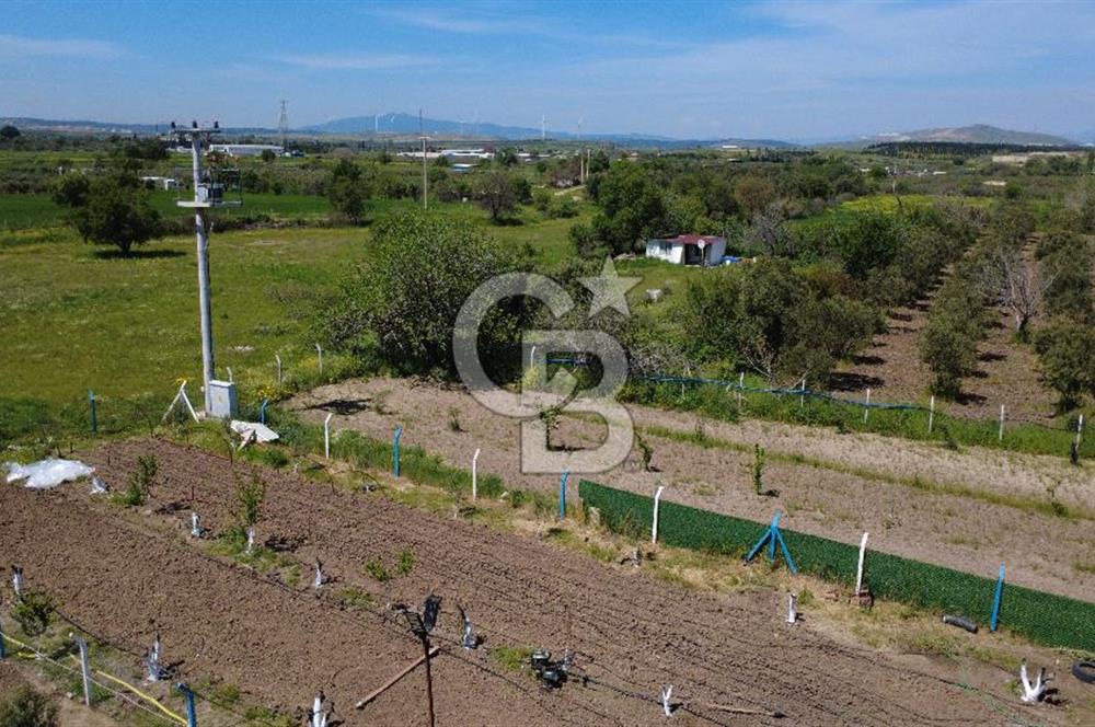 CB ODAK’tan Çıtak’ta Yola Cepheli, Konteyner Evli, Hazır Tarla