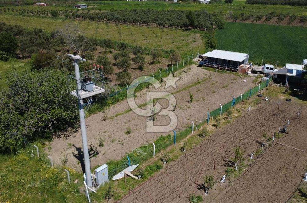 CB ODAK’tan Çıtak’ta Yola Cepheli, Konteyner Evli, Hazır Tarla