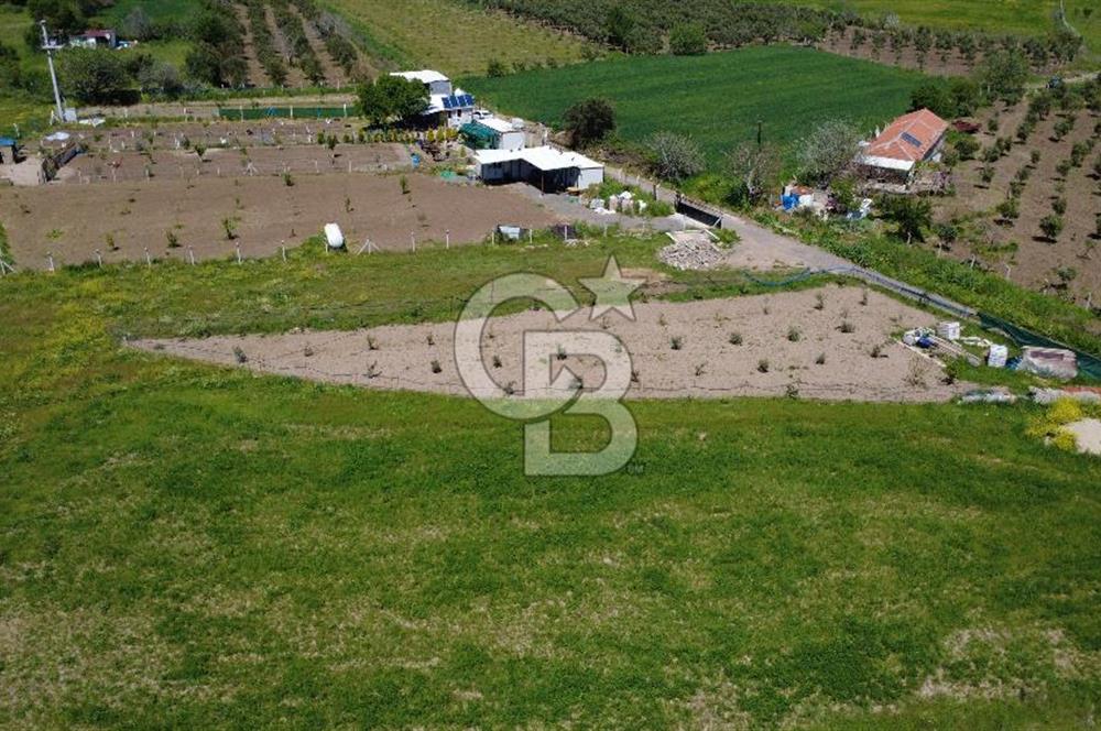 CB Odak’tan Çıtak’ta Yola Cepheli Elektrik-Su Hazır Tarla