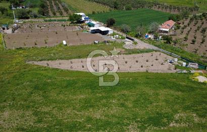 CB Odak’tan Çıtak’ta Yola Cepheli Elektrik-Su Hazır Tarla